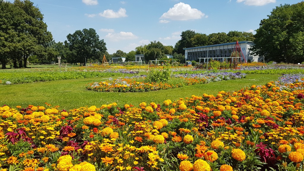 The egapark will be the centre of most events for the BUGA Erfurt 2021. 