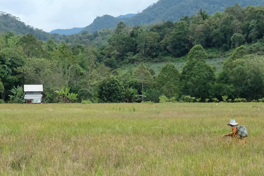 The new face of Malaysian tourism