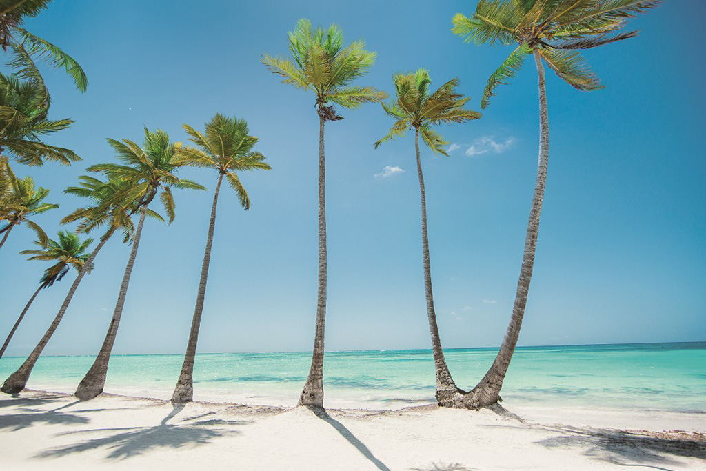 Dominican Republic simplifies travel with new electronic ticket portal