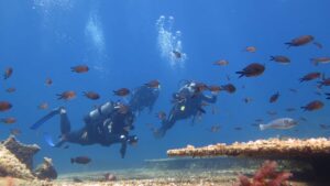 Diving is increasingly popular in Amorgos in Greece