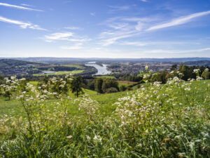 TOURISM AWARD : Austria National Tourist Board and A1 mobile phone to support recovery projects