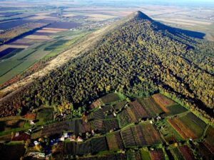 Hungary received an award for a red wine Merlot.
