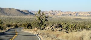 California road trips - Joshua Tree