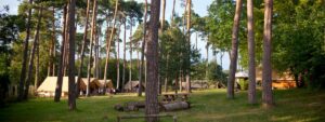 Huttopia camping takes over OnlyCamp