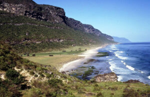 Khor Karfout Bay in Oman to be a reserve.
