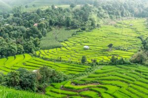 Chiang Mai could be next thailand for reopening