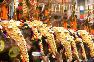Melam Elephant Show, India