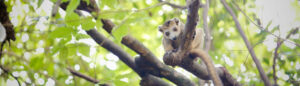 International flights are allowed in Madagascar