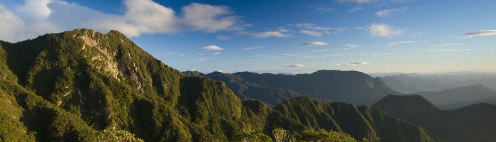 INTERNATIONAL FLIGHTS RETURN TO MADAGASCAR