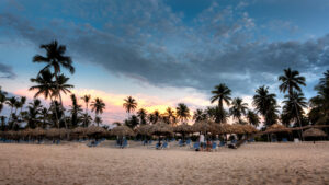 Caribbean Marketplace Returns