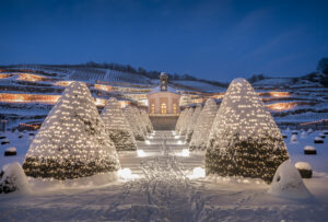 Wackerbarth Castle in winter