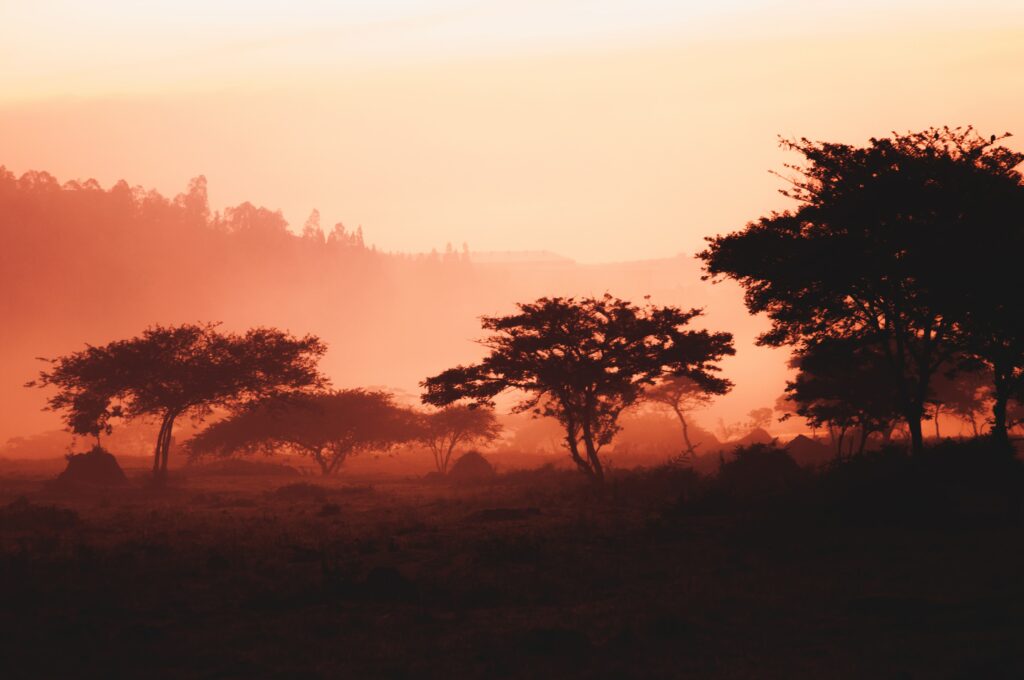 Space Travel of a different kind in East Africa