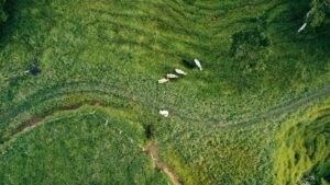 Costa Rica sustainable destinations