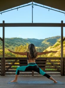 Wellness travellers 2022