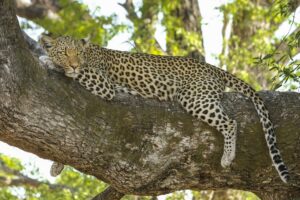 Adventure tourism to triple until 2026