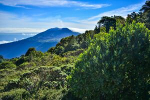 Costa Rica recovery