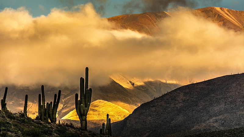 ITB – Travel Industry News