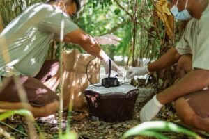 Kaimoo eco-friendly solutions against mosquitoes
