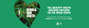 YSL Beauty restoring 100,000 hectares of forests and land