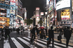 japan mice