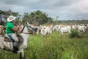 Cowboy life Colombia
