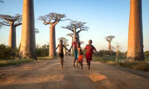 Madagascar tourism return