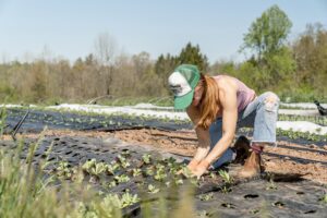 Sustainable tourism