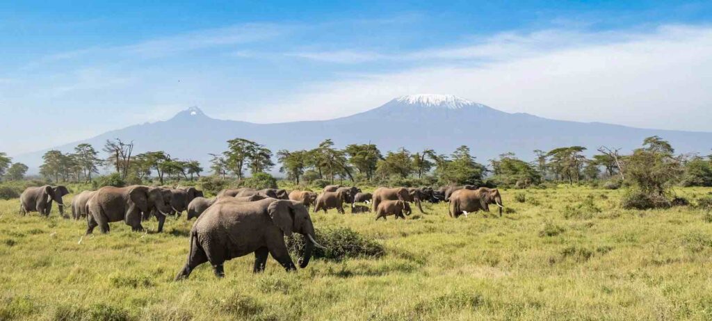 Kimana Sanctuary Angama Amboseli