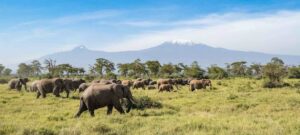 Kimana Sanctuary Angama Amboseli