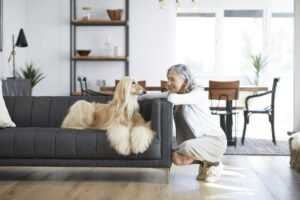 pets