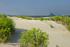 sand dunes in Wyoming