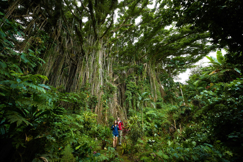 Vanuatu Travel