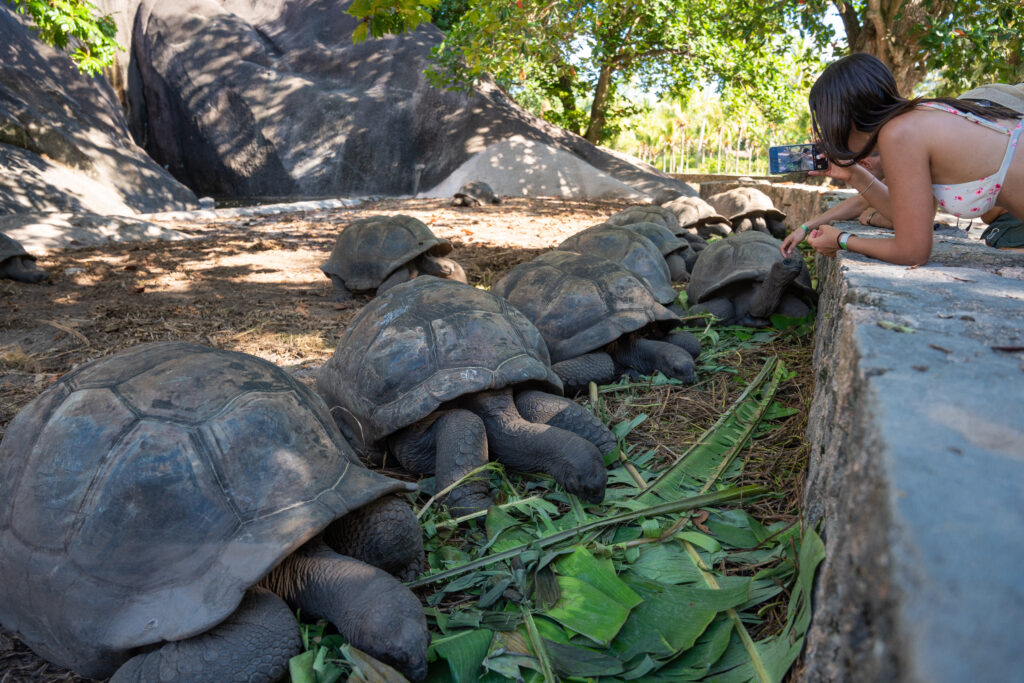 Seychelles leaves visitors with more than a souvenir to take home