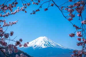 Sakura festivals Japan