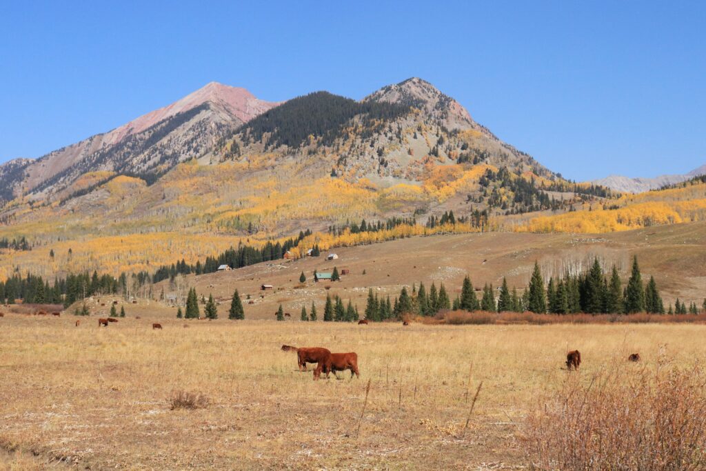 Colorado