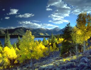 USA top Wellness economy in the world